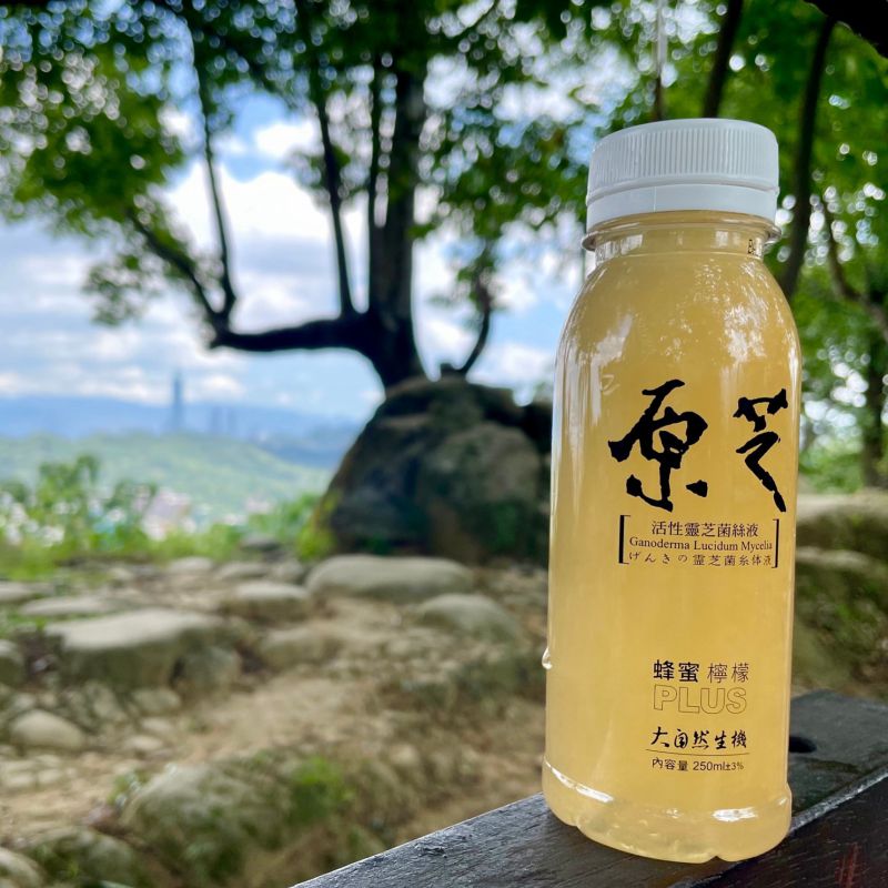 【原芝】蜂蜜檸檬口味